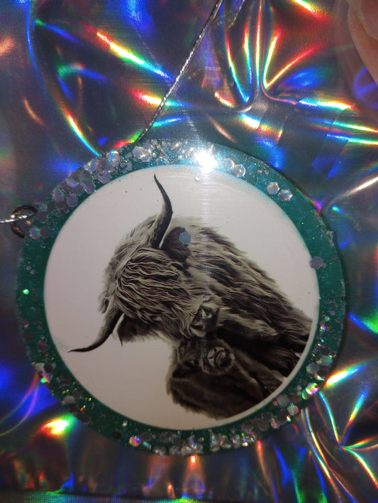 Highland cow freshie