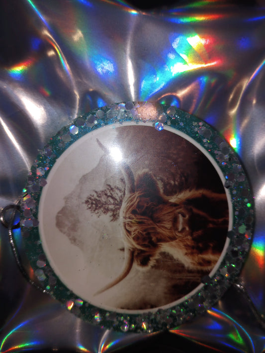 Highland cow freshie