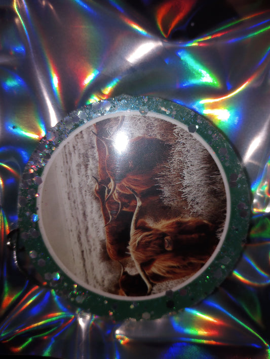 Highland cow freshie